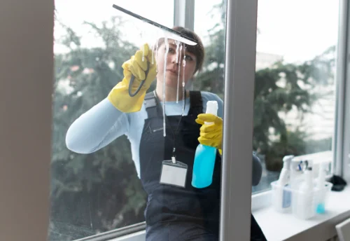 Nettoyage de vitres intérieures et extérieures à Villeneuve-en-Perseigne